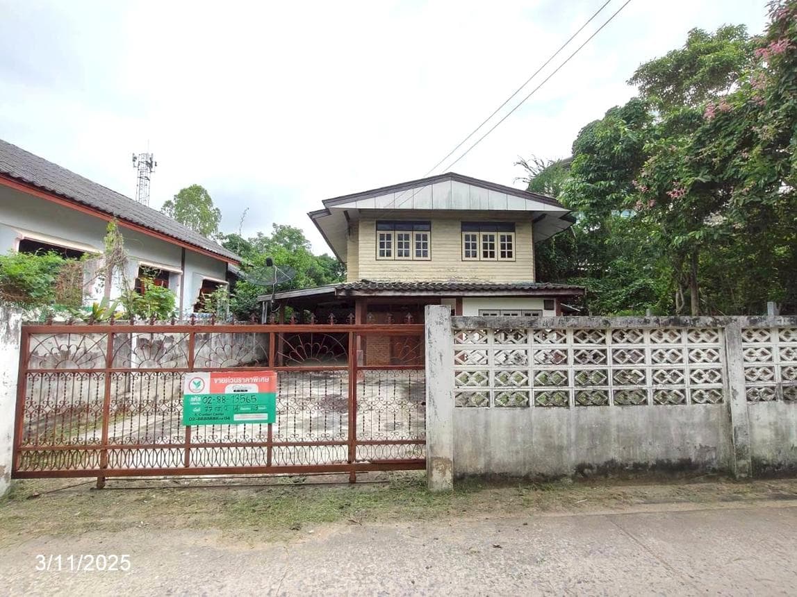 ขายบ้านเดี่ยว ในเมือง เมืองชัยภูมิ ชัยภูมิ พื้นที่ 77 ตร.ว. พื้นที่ใช้สอย 187 ตร.ม. 4 ห้องนอน 3 ห้องน้ำ