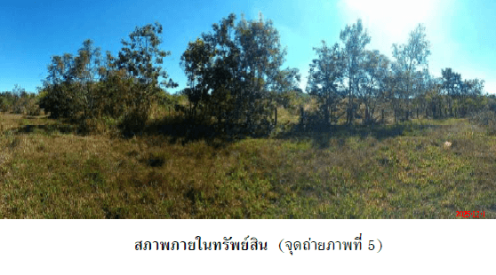บ้านเดี่ยว เมืองนครพนม นครพนม