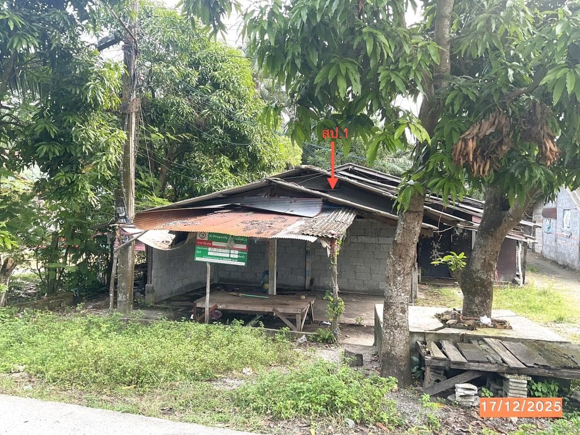 บ้านเดี่ยว พื้นที่ 129 ตร.ม. ทำเลศักยภาพ ทางพูน เฉลิมพระเกียรติ นครศรีธรรมราช