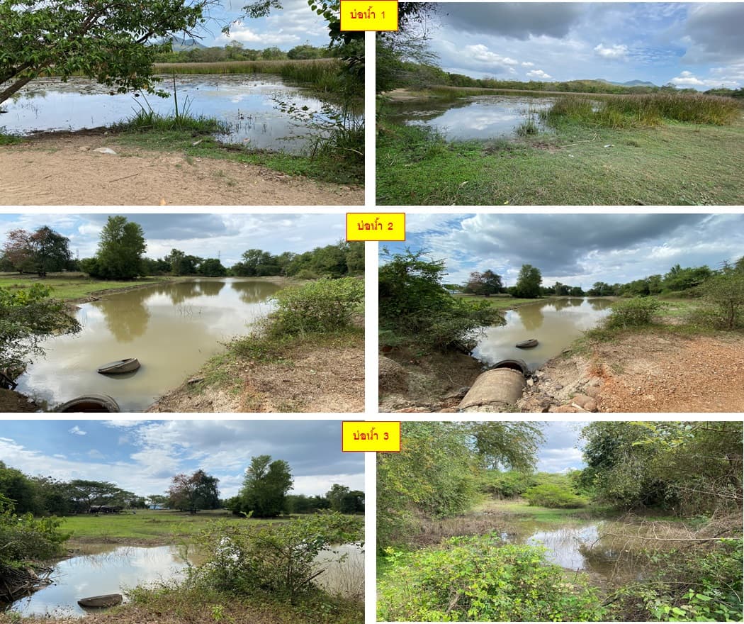 ที่ดินเปล่า ท่ายาง เพชรบุรี