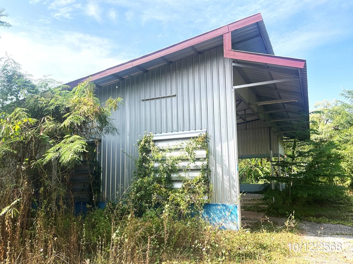 ขายบ้านเดี่ยว เมืองสกลนคร สกลนคร ทำเลธาตุเชิงชุม เนื้อที่ 70 ตร.ว. พื้นที่ใช้สอย 202 ตร.ม. 4 ห้องนอน 2 ห้องน้ำ สภาพดี พร้อมอยู่