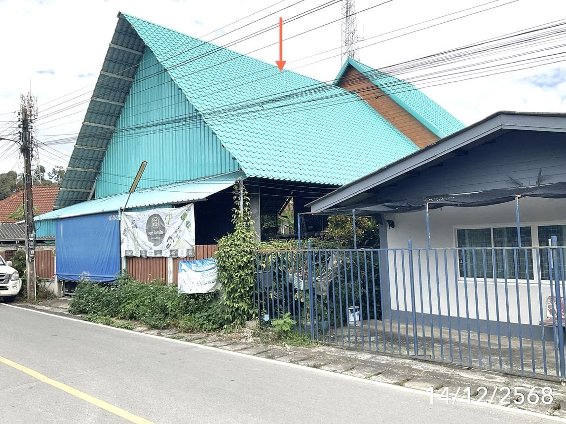 ขายบ้านเดี่ยว เวียงป่าเป้า เชียงราย พื้นที่ใช้สอยจุใจ 285 ตร.ม. บรรยากาศเหนือสุดชิลล์ ใกล้ชิดธรรมชาติ