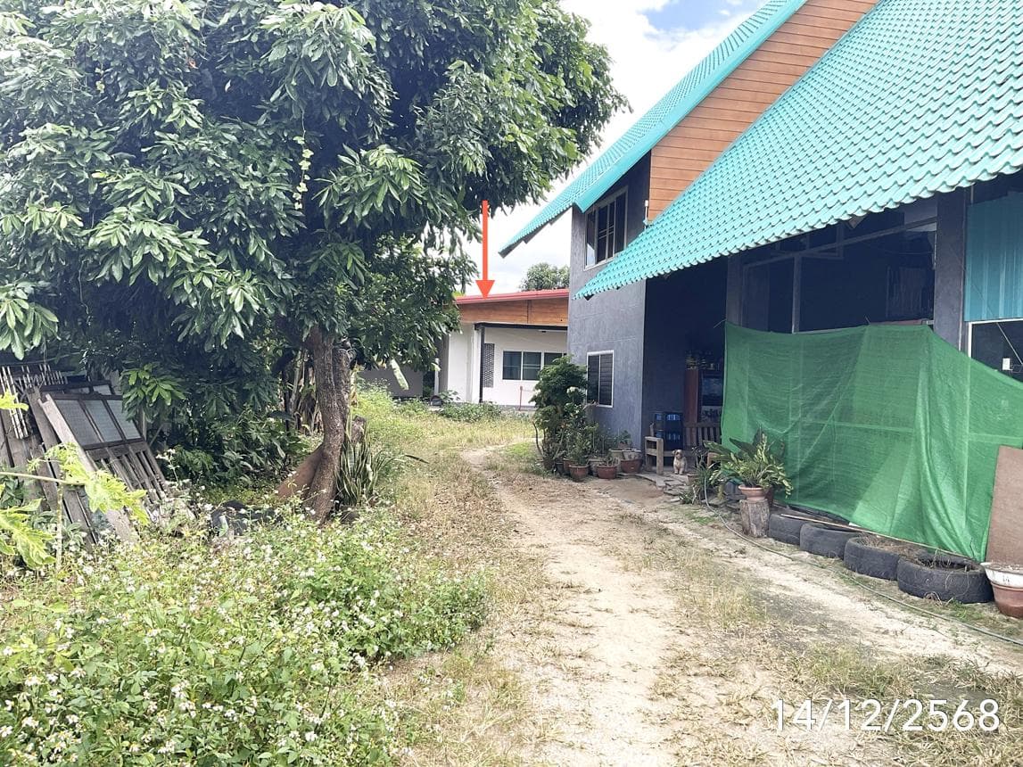 ขายบ้านเดี่ยว เวียงป่าเป้า เชียงราย พื้นที่ใช้สอยจุใจ 285 ตร.ม. บรรยากาศเหนือสุดชิลล์ ใกล้ชิดธรรมชาติ