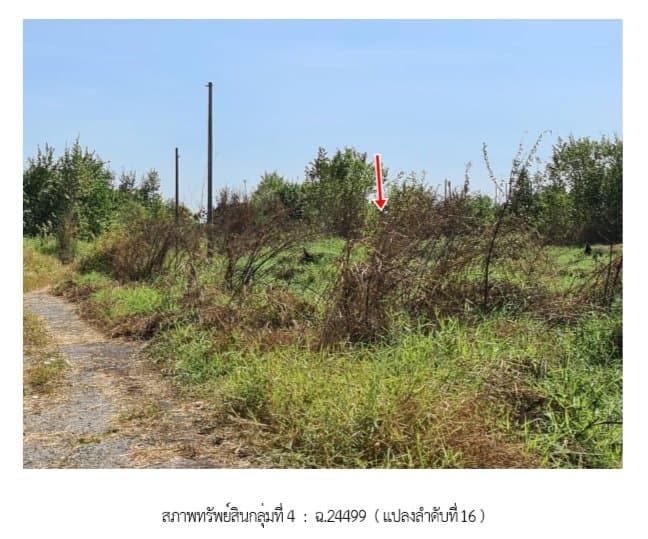 ที่ดินว่างเปล่า ฉลองกรุง ริเวอร์วิลล์ หนองจอก