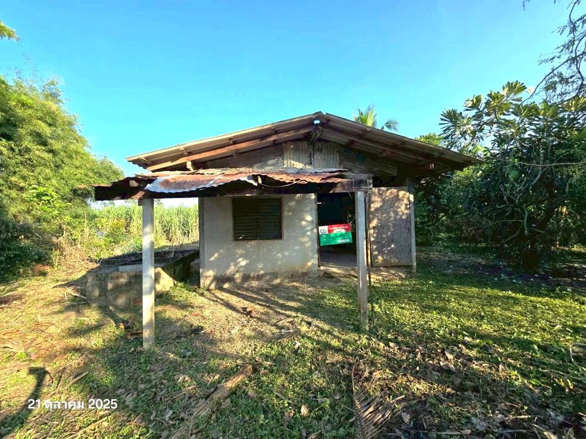 บ้านเดี่ยว 1 ห้องนอน พื้นที่ 81 ตร.ม. ทำเลศักยภาพ เทพนคร เมืองกำแพงเพชร กำแพงเพชร