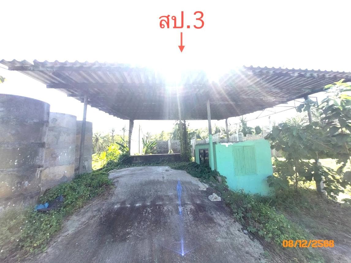 ขายบ้านเดี่ยว พระแสง สุราษฎร์ธานี ทำเลอิปัน พื้นที่ใช้สอย 33.75 ตร.ม. สภาพดี ราคาไม่ถึงสองล้าน บรรยากาศเงียบสงบเป็นส่วนตัว