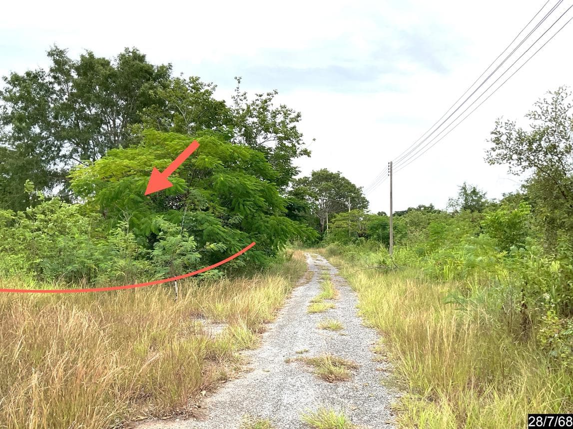 ที่ดินเปล่า ภูตะวัน สีคิ้ว เนื้อที่ 51 ตร.ว. ทำเลศักยภาพ หนองหญ้าขาว สีคิ้ว นครราชสีมา