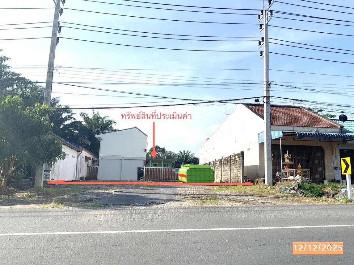 ขายบ้านเดี่ยวหลังใหญ่ พื้นที่ใช้สอย 209.9 ตร.ม. บนเนื้อที่ 87 ตร.ว. ทำเลสงบ ต.วังมะปรางเหนือ อ.วังวิเศษ จ.ตรัง บรรยากาศดี มีความเป็นส่วนตัว