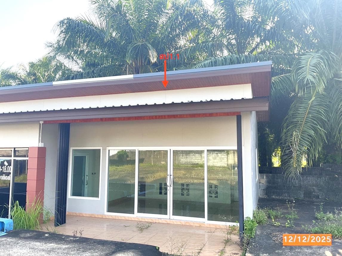ขายบ้านเดี่ยวหลังใหญ่ พื้นที่ใช้สอย 209.9 ตร.ม. บนเนื้อที่ 87 ตร.ว. ทำเลสงบ ต.วังมะปรางเหนือ อ.วังวิเศษ จ.ตรัง บรรยากาศดี มีความเป็นส่วนตัว