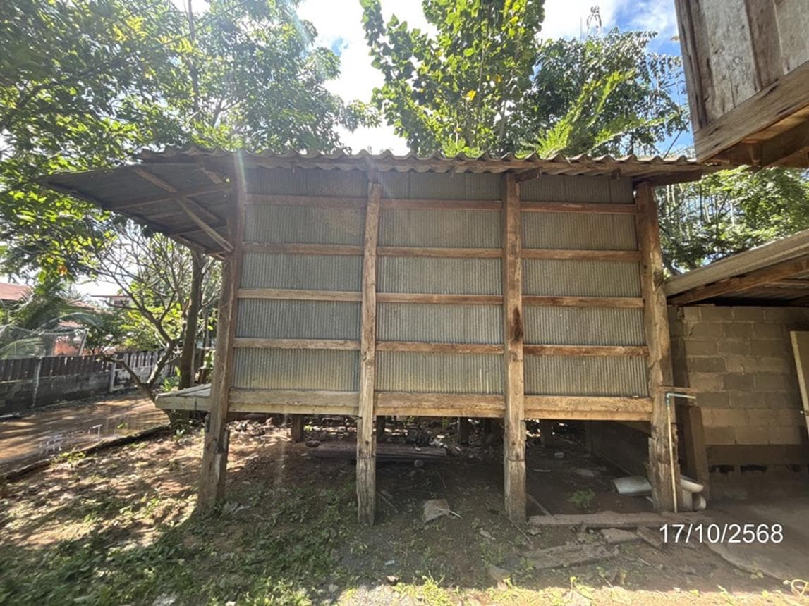 ขายบ้านเดี่ยว ขุนหาญ ศรีสะเกษ ทำเลขุนหาญ เนื้อที่ 44 ตร.ว. พื้นที่ใช้สอย 238.25 ตร.ม. 3 ห้องนอน 3 ห้องน้ำ สภาพดี พร้อมอยู่