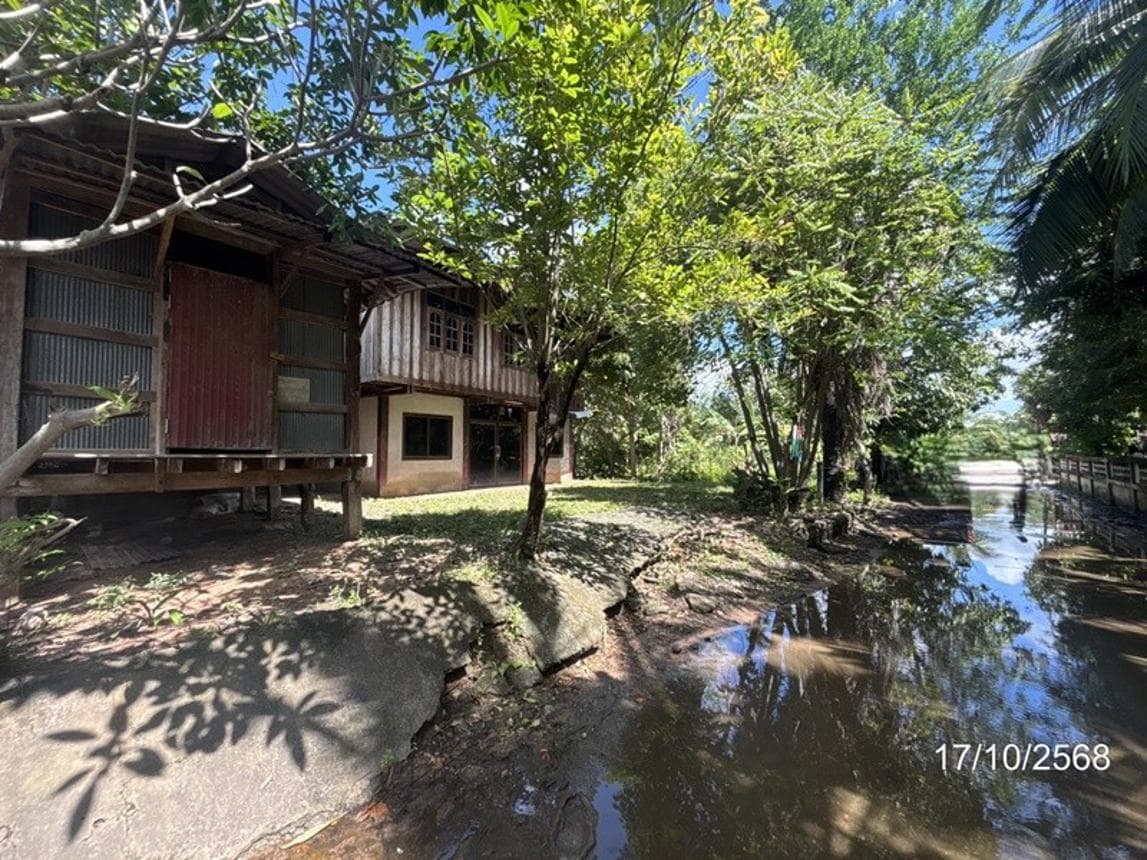 ขายบ้านเดี่ยว ขุนหาญ ศรีสะเกษ ทำเลขุนหาญ เนื้อที่ 44 ตร.ว. พื้นที่ใช้สอย 238.25 ตร.ม. 3 ห้องนอน 3 ห้องน้ำ สภาพดี พร้อมอยู่