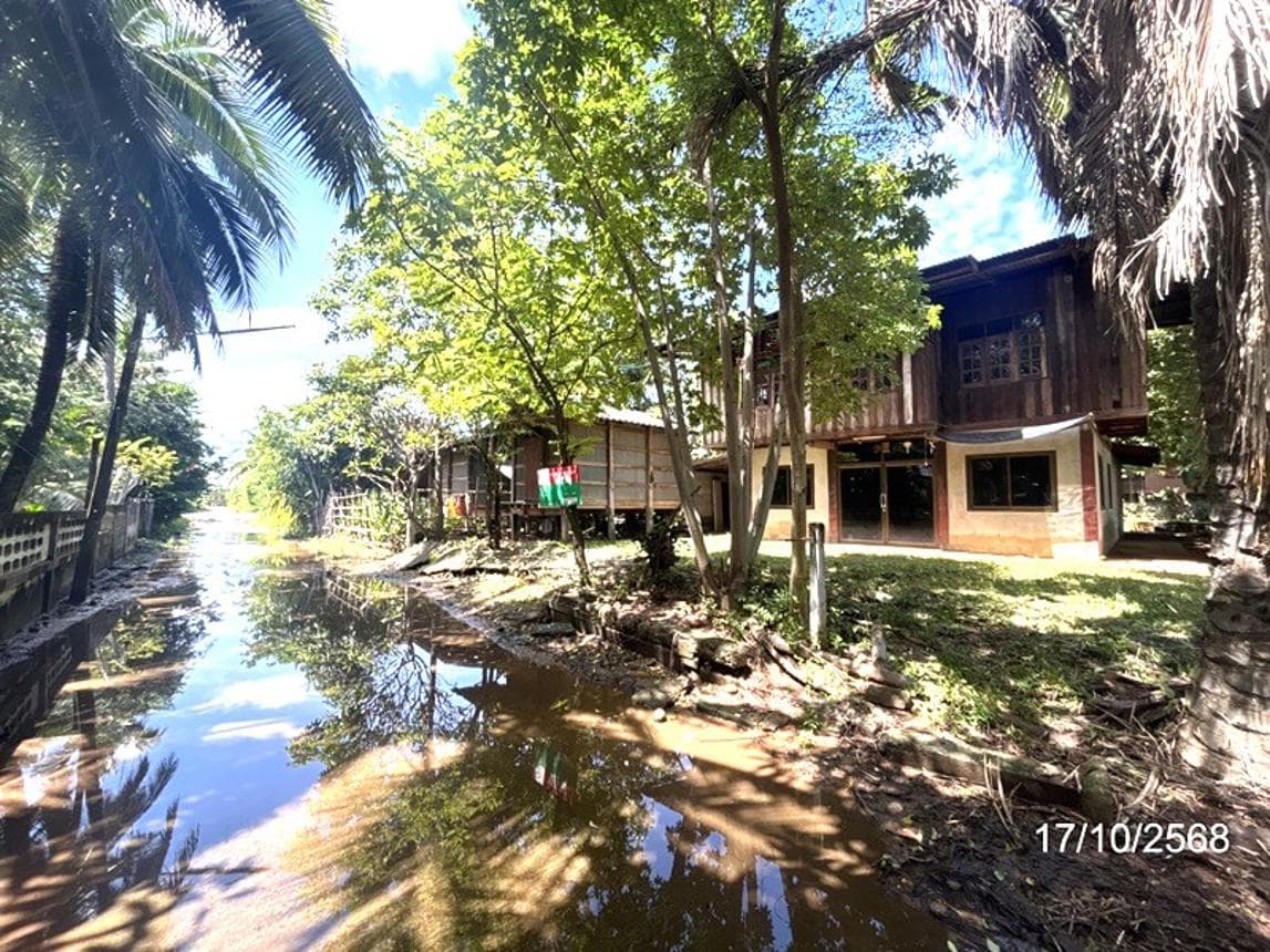 ขายบ้านเดี่ยว ขุนหาญ ศรีสะเกษ ทำเลขุนหาญ เนื้อที่ 44 ตร.ว. พื้นที่ใช้สอย 238.25 ตร.ม. 3 ห้องนอน 3 ห้องน้ำ สภาพดี พร้อมอยู่
