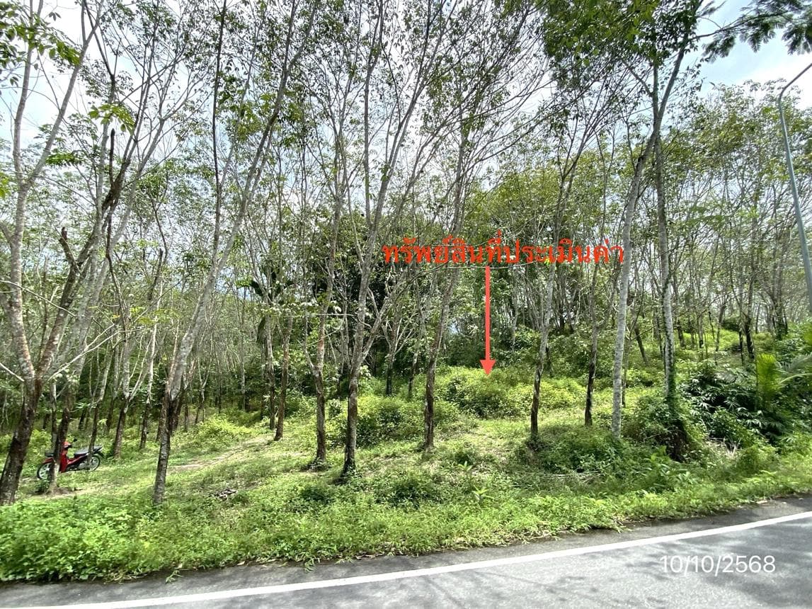 ที่ดินว่างเปล่า เนื้อที่ 40 ตร.ว. ทำเลศักยภาพ ละอาย ฉวาง นครศรีธรรมราช