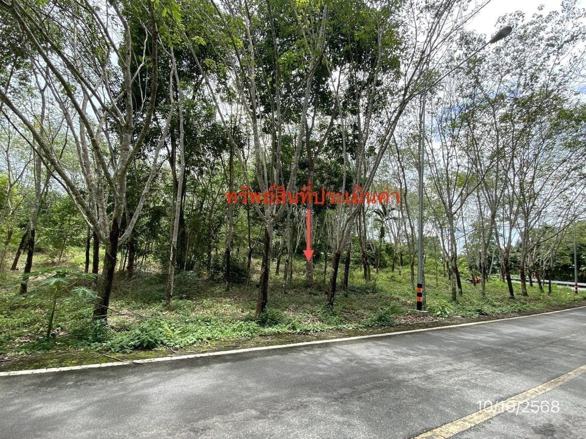 ที่ดินว่างเปล่า เนื้อที่ 40 ตร.ว. ทำเลศักยภาพ ละอาย ฉวาง นครศรีธรรมราช