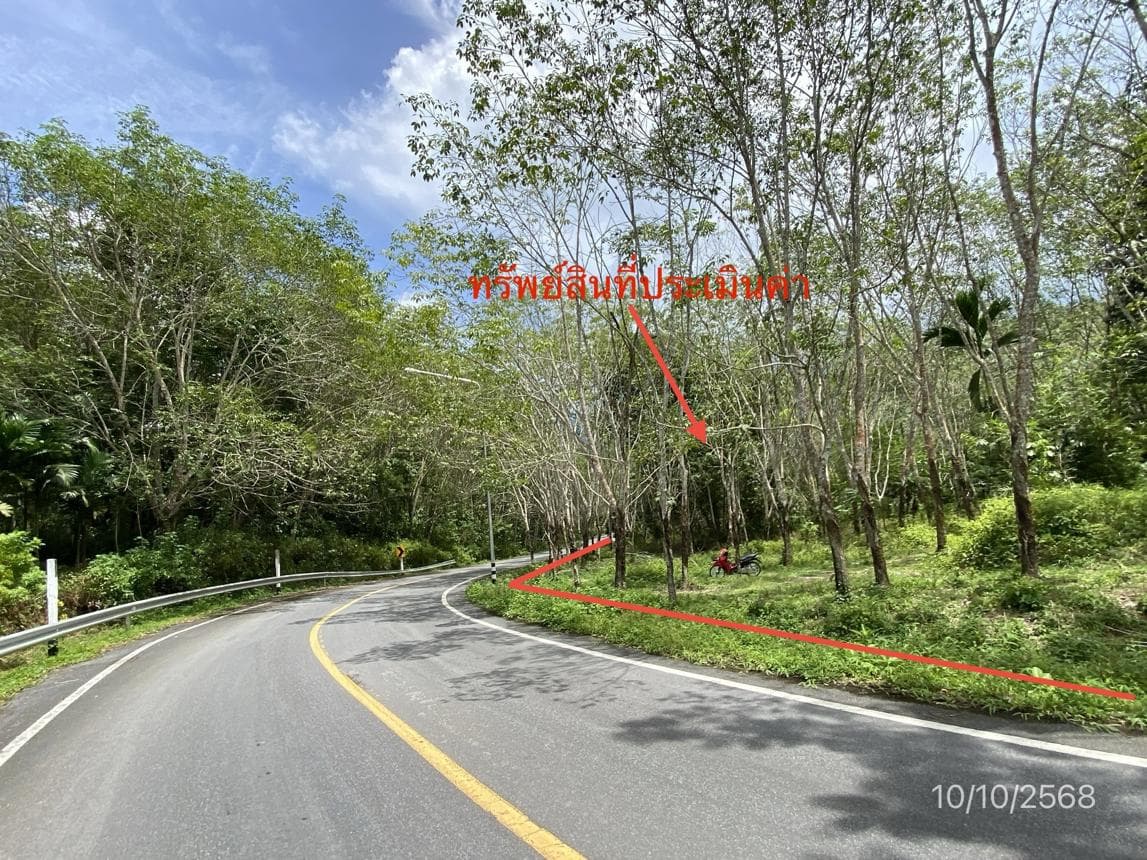 ที่ดินว่างเปล่า เนื้อที่ 40 ตร.ว. ทำเลศักยภาพ ละอาย ฉวาง นครศรีธรรมราช