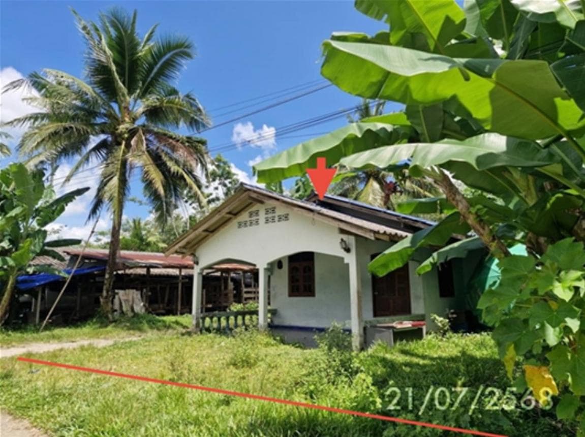 บ้านเดี่ยว บางหมาก กันตัง ตรัง 2 ห้องนอน 1 ห้องน้ำ พื้นที่ 90 ตร.ม. บนที่ดินกว้างขวาง 61.6 ตร.ว. ทำเลสงบ บรรยากาศส่วนตัว ราคาพิเศษ 1.17 ล้าน
