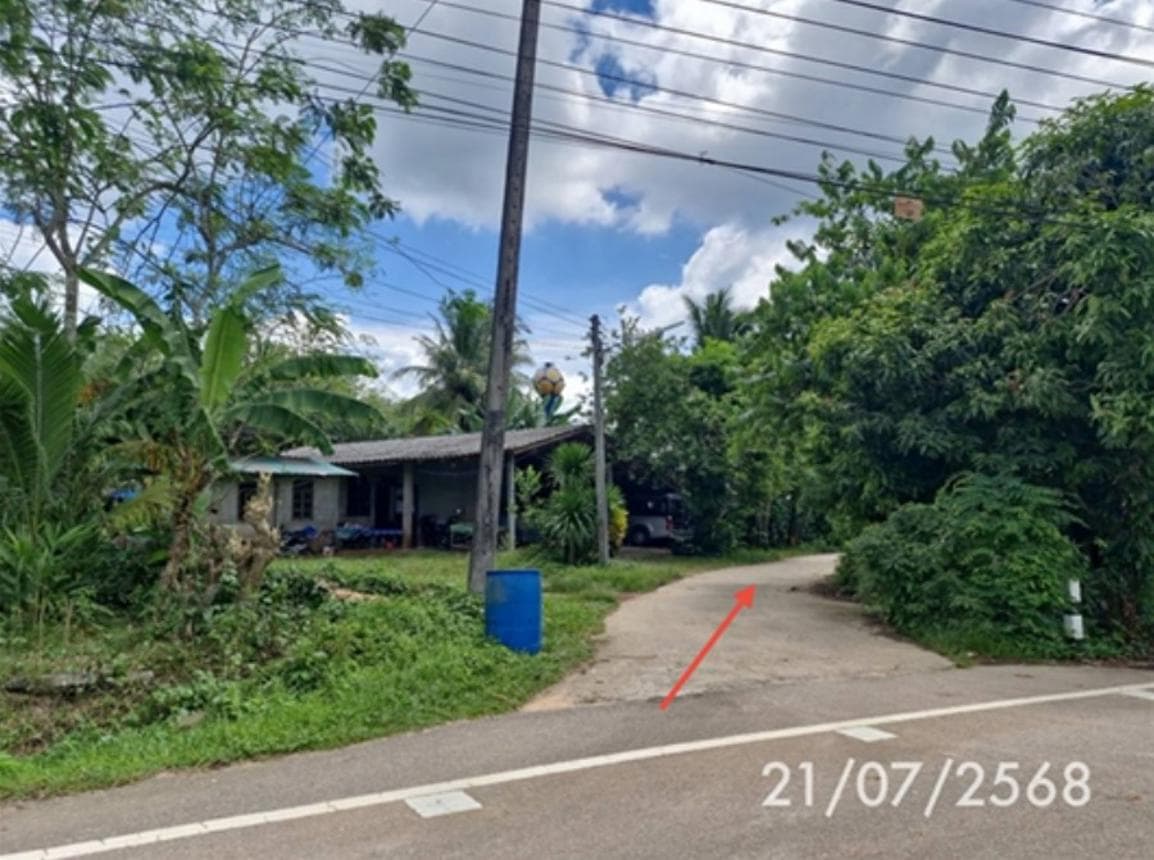 บ้านเดี่ยว บางหมาก กันตัง ตรัง 2 ห้องนอน 1 ห้องน้ำ พื้นที่ 90 ตร.ม. บนที่ดินกว้างขวาง 61.6 ตร.ว. ทำเลสงบ บรรยากาศส่วนตัว ราคาพิเศษ 1.17 ล้าน