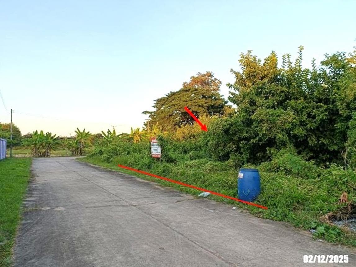 ที่ดินเปล่า 100 ตร.ว. หันนางาม ศรีบุญเรือง ใกล้ถนนหนองบัวลำภู-ชุมแพ ทำเลเหมาะลงทุน