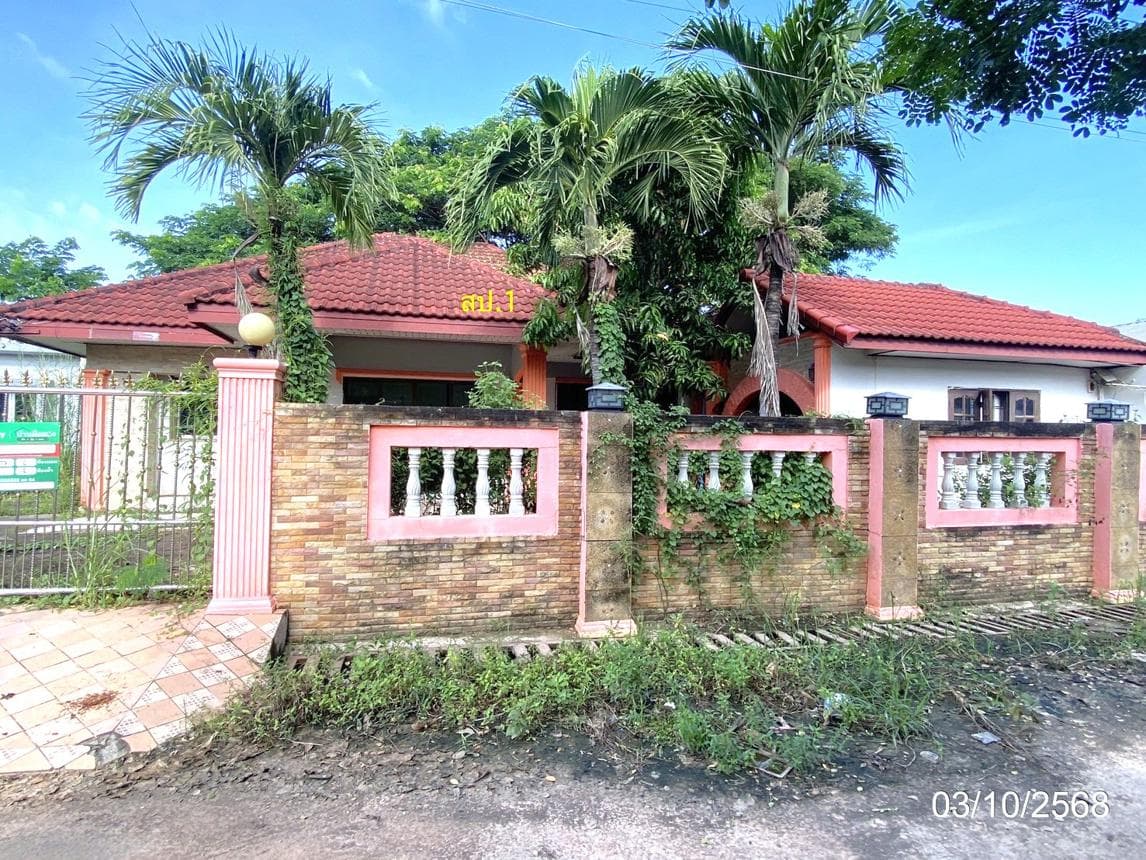 ขายบ้านเดี่ยว เมืองขอนแก่น ขอนแก่น ทำเลโคกสี เนื้อที่ 61 ตร.ว. พื้นที่ใช้สอย 287 ตร.ม. 2 ห้องนอน 2 ห้องน้ำ สภาพดี พร้อมอยู่