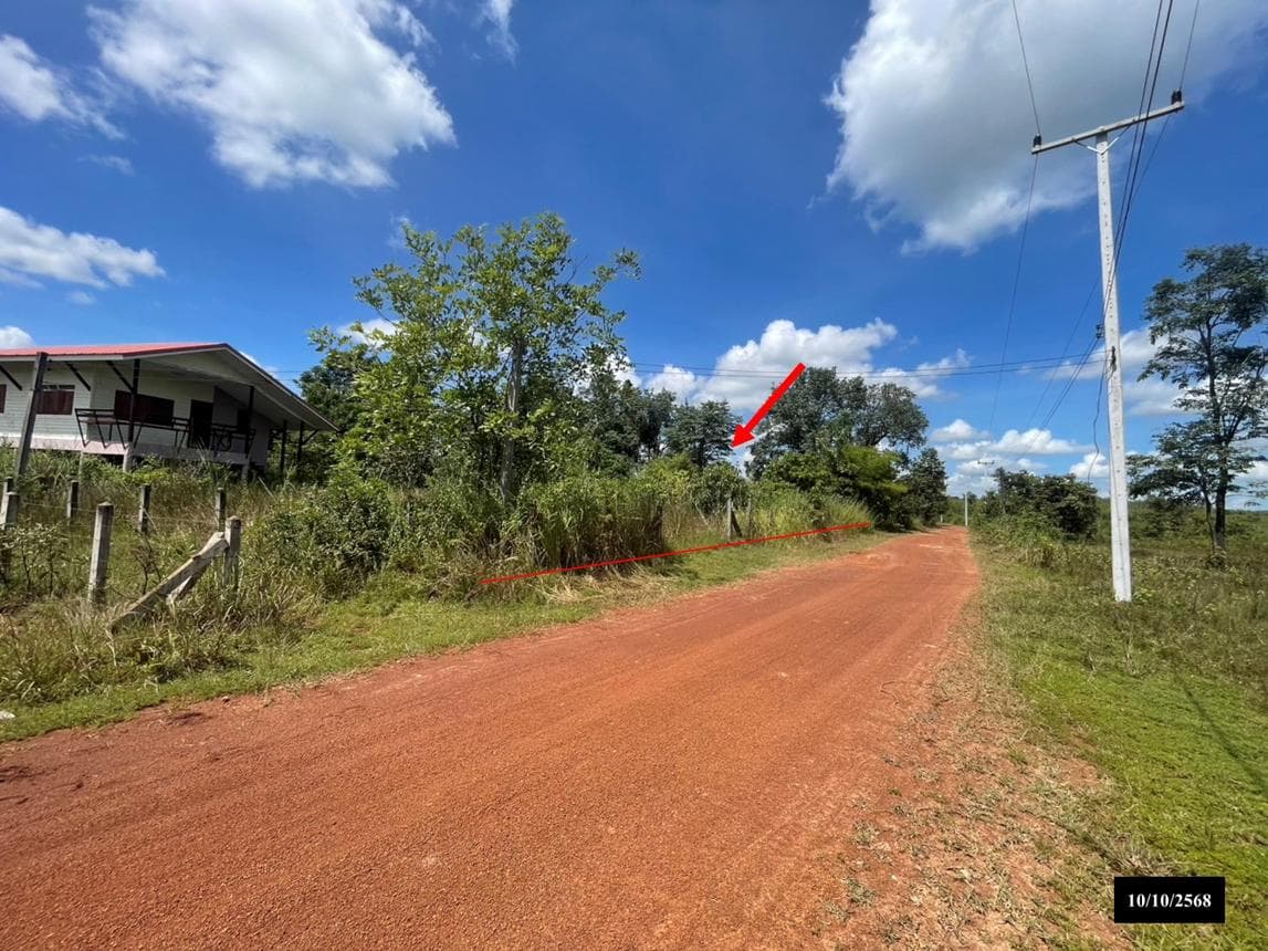 บ้านเดี่ยว บ้านถ่อน สว่างแดนดิน สกลนคร 1 ห้องนอน 1 ห้องน้ำ พื้นที่ใช้สอย 117.25 ตร.ม. ทำเลสงบ เดินทางสะดวก ราคาคุ้มค่าเพียง 9.14 แสน