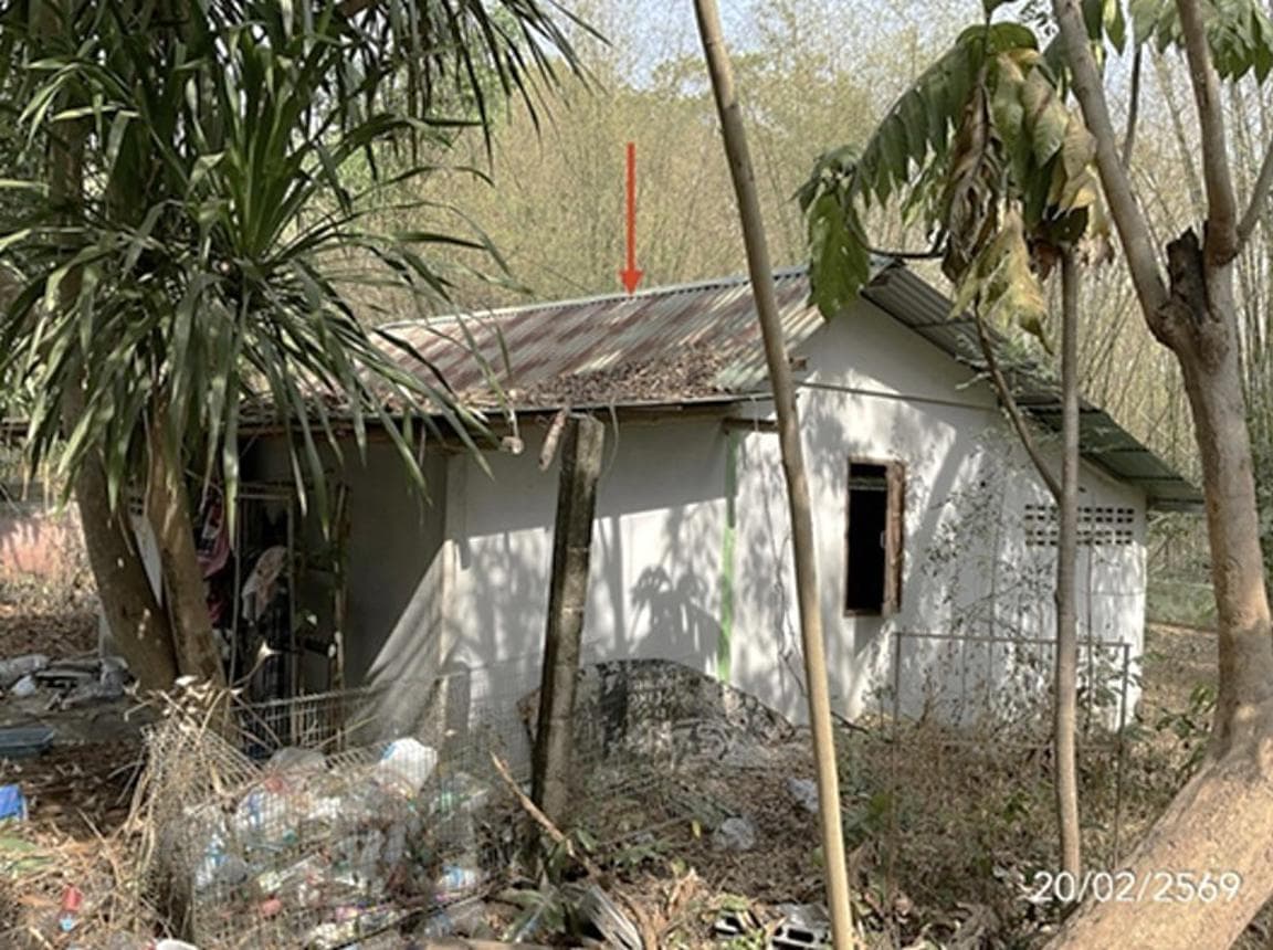 ขายบ้านเดี่ยว นนทรี กบินทร์บุรี ปราจีนบุรี พื้นที่ใช้สอย 145.25 ตร.ม. 3 ห้องนอน ทำเลดี ราคาคุ้มค่า