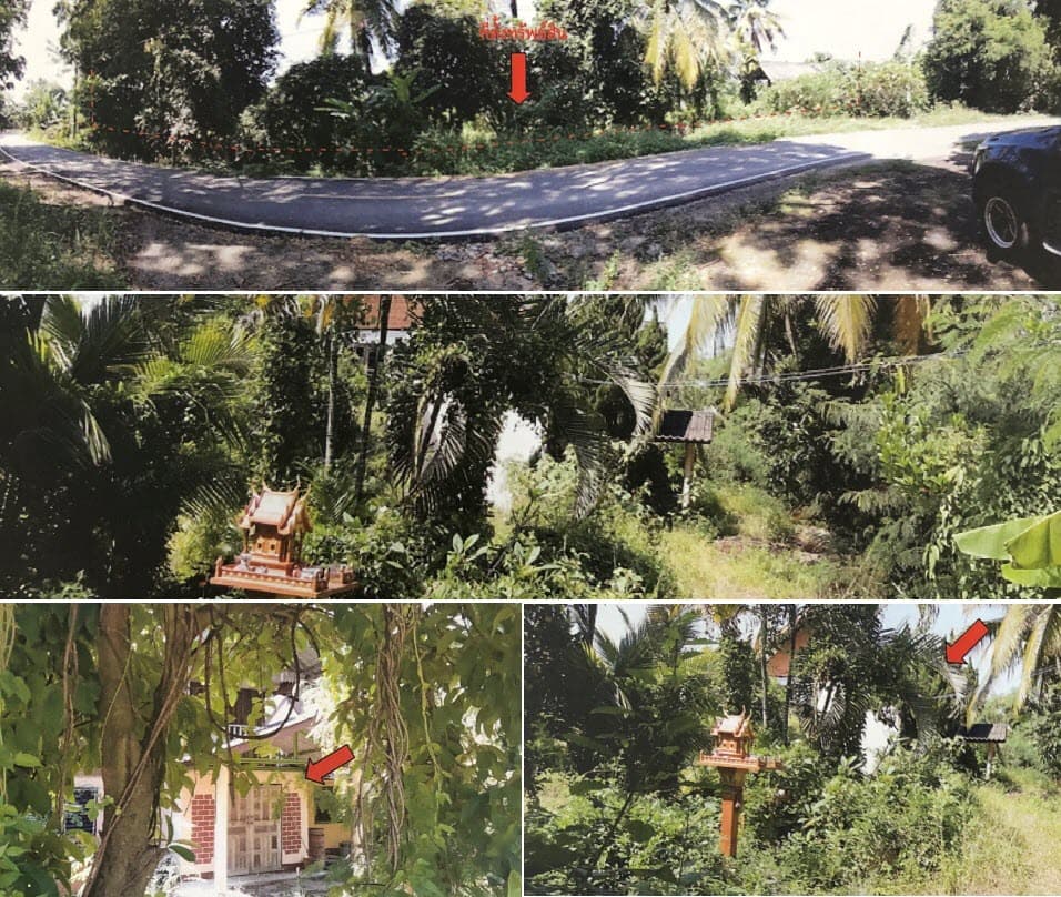 ที่ดินพร้อมสิ่งปลูกสร้าง เมืองลำพูน ลำพูน