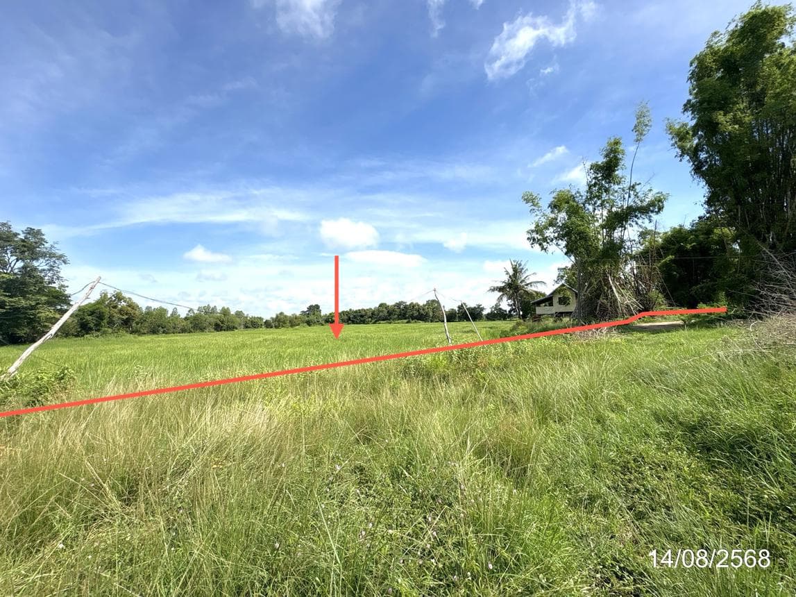 บ้านเดี่ยว สำโรง สำโรง อุบลราชธานี 1 ห้องน้ำ ขนาด 38.4 ตร.ว.