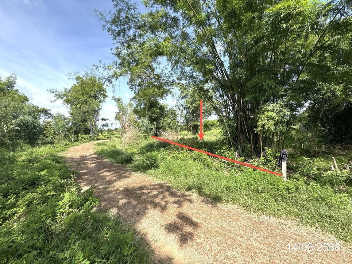 บ้านเดี่ยว สำโรง สำโรง อุบลราชธานี 1 ห้องน้ำ ขนาด 38.4 ตร.ว.