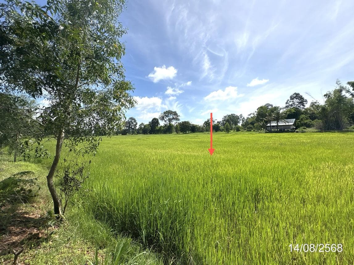บ้านเดี่ยว สำโรง สำโรง อุบลราชธานี 1 ห้องน้ำ ขนาด 38.4 ตร.ว.