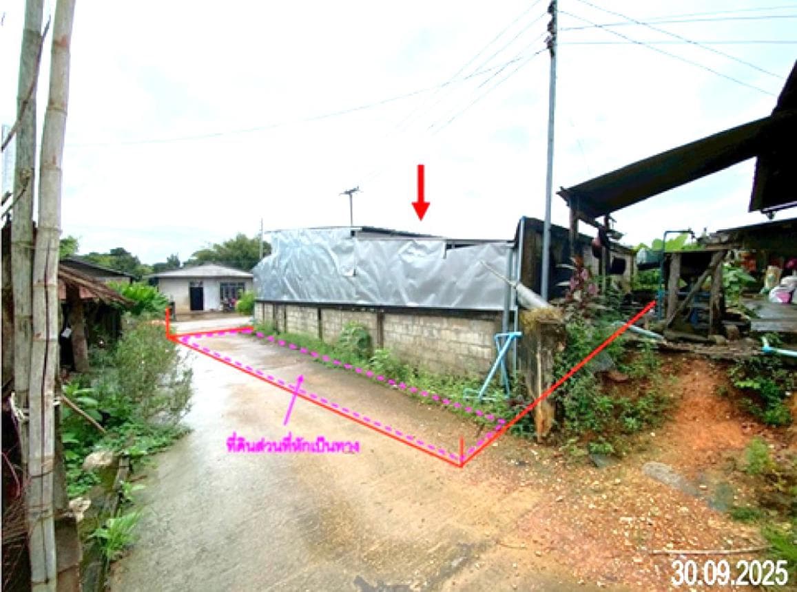 ขายบ้านเดี่ยว ปัว น่าน ทำเลสโลว์ไลฟ์ ป่ากลาง พื้นที่ 35 ตร.ว. ใกล้ชิดธรรมชาติ