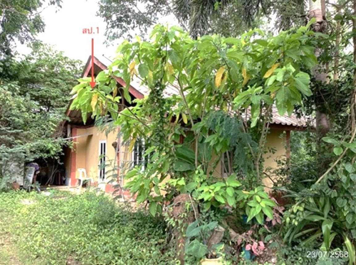 บ้านเดี่ยว ท่าคอย ท่ายาง เพชรบุรี พื้นที่ใช้สอย 43 ตร.ม. บนที่ดินกว้าง 75 ตร.ว. บรรยากาศเงียบสงบ เป็นส่วนตัว ราคาคุ้มค่า