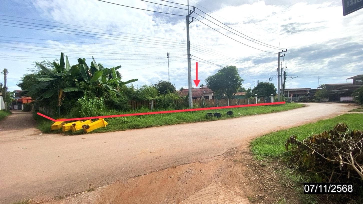 ขายบ้านเดี่ยว หนองผือ ท่าลี่ เลย 3 ห้องนอน สเปซกว้าง 218 ตร.ม. ทำเลสงบ บรรยากาศชิล ฟีลธรรมชาติ