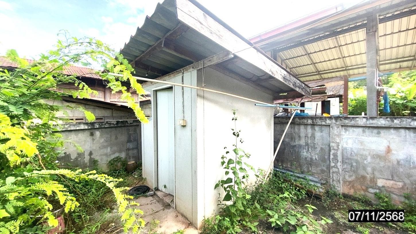 ขายบ้านเดี่ยว หนองผือ ท่าลี่ เลย 3 ห้องนอน สเปซกว้าง 218 ตร.ม. ทำเลสงบ บรรยากาศชิล ฟีลธรรมชาติ