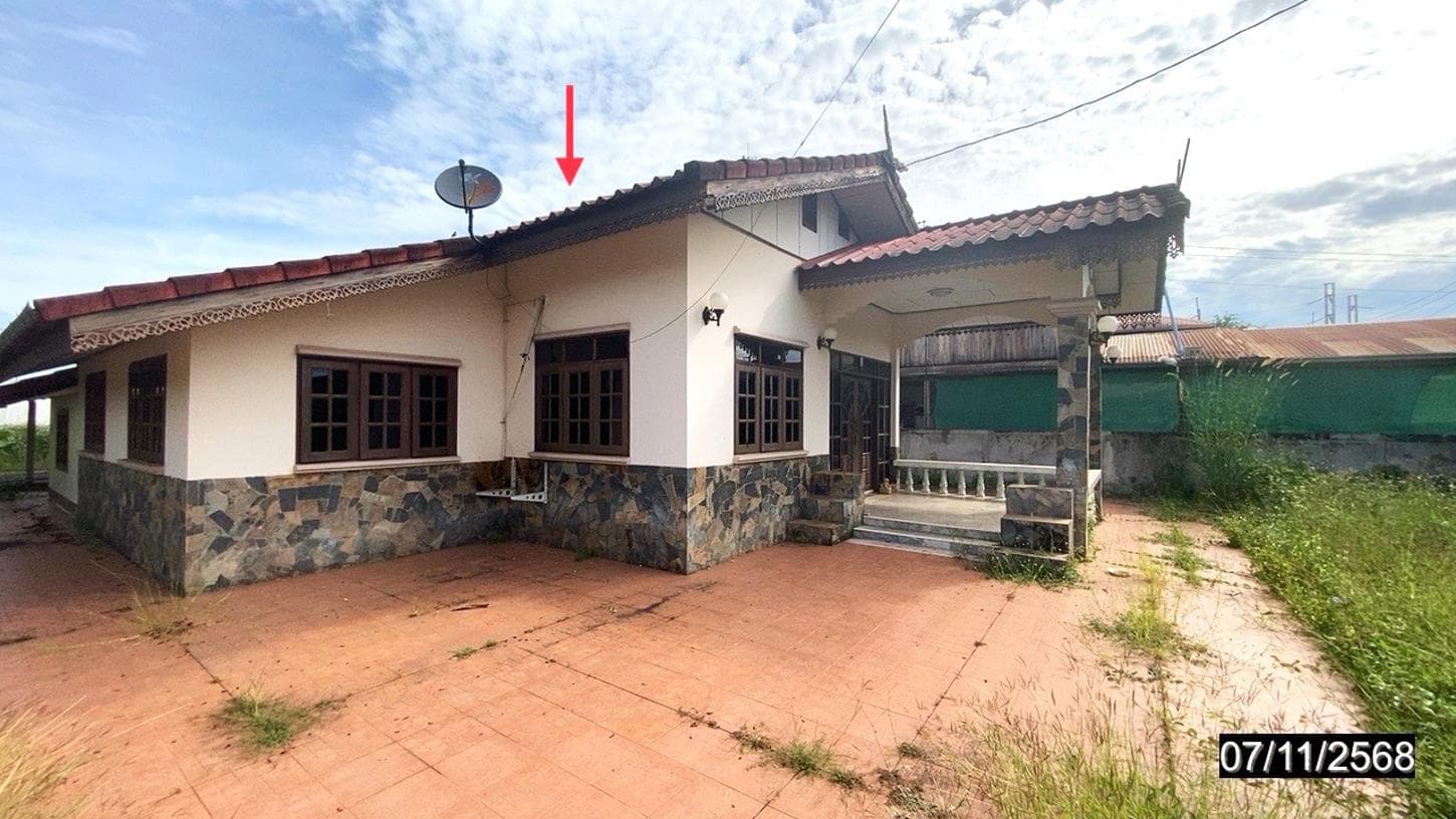ขายบ้านเดี่ยว หนองผือ ท่าลี่ เลย 3 ห้องนอน สเปซกว้าง 218 ตร.ม. ทำเลสงบ บรรยากาศชิล ฟีลธรรมชาติ