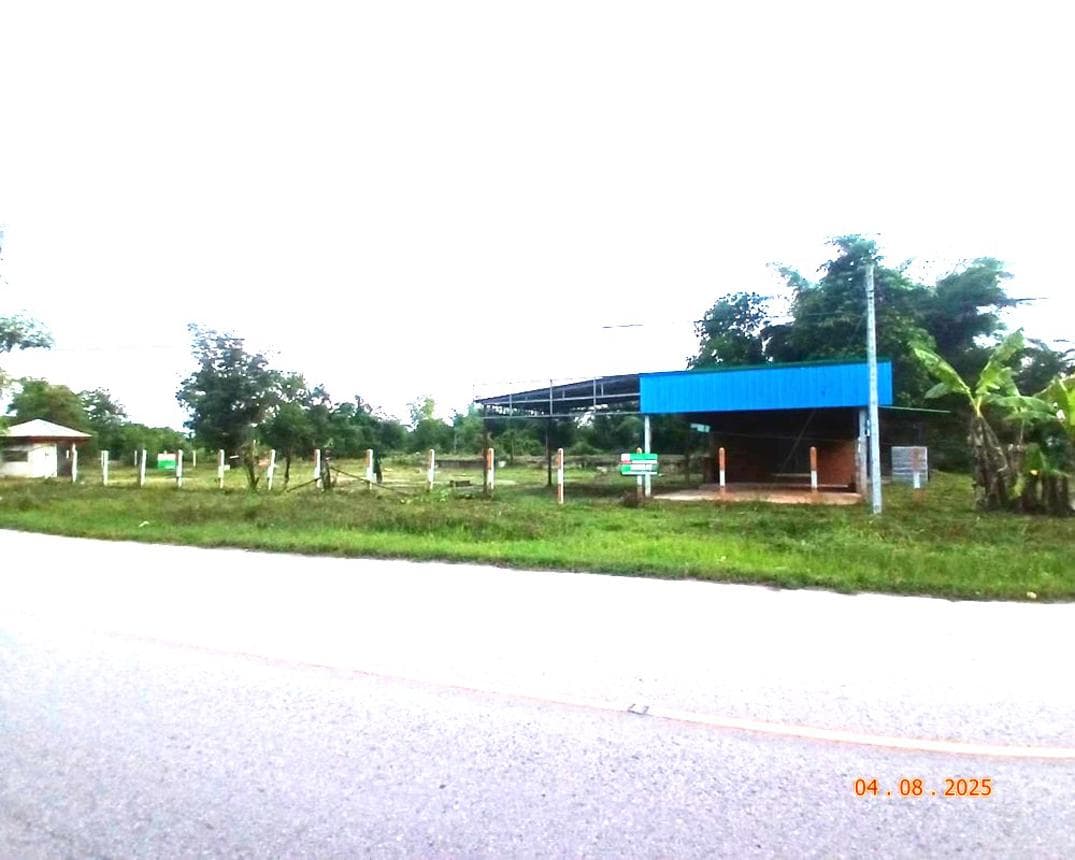 บ้านเดี่ยว นาสิงห์ ศรีวิไล บึงกาฬ ทำเลศักยภาพ บรรยากาศเงียบสงบ ใกล้ชิดธรรมชาติ