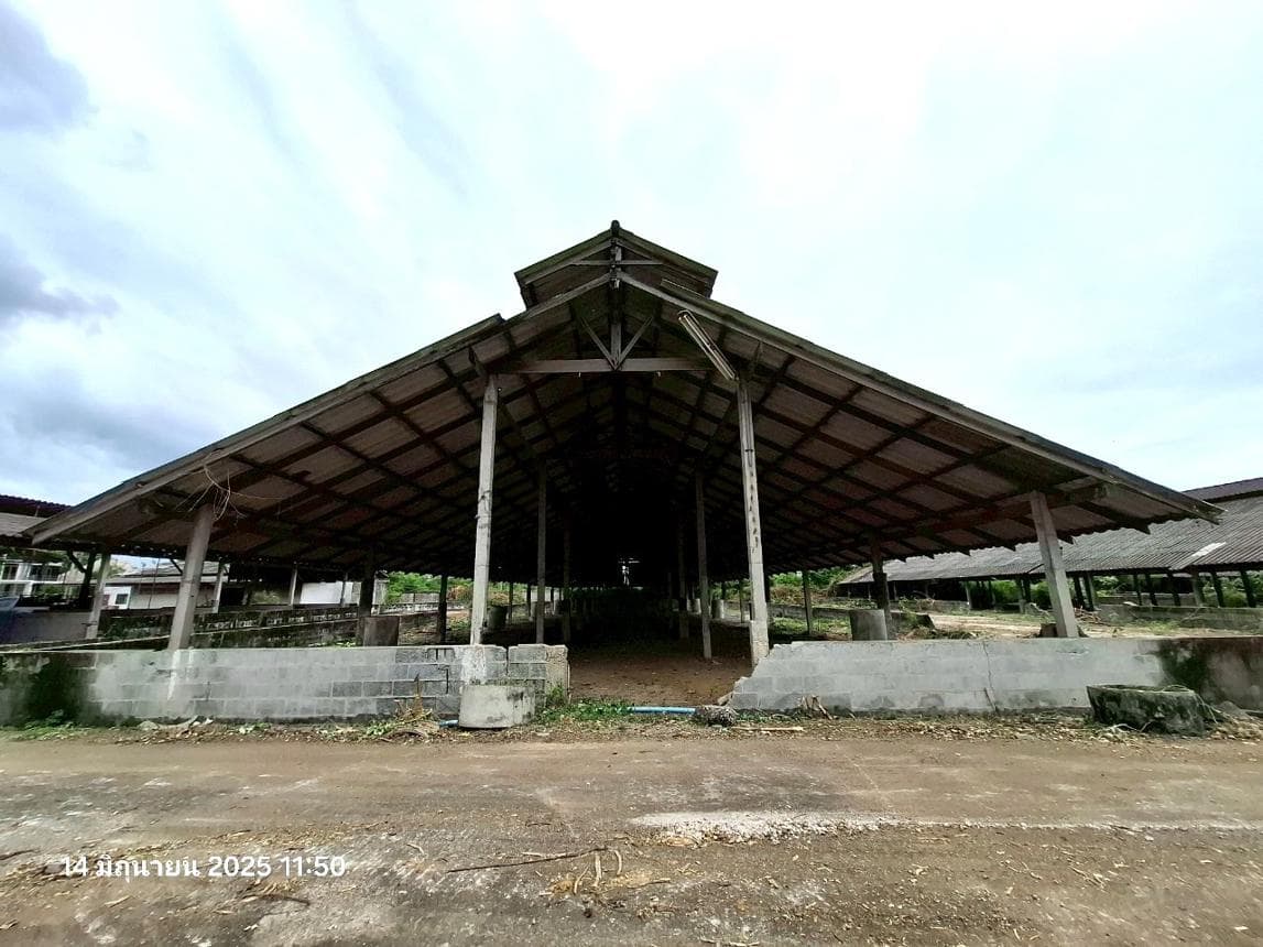 ฟาร์ม คลองตาคต โพธาราม ราชบุรี พื้นที่ใช้สอย 480 ตร.ม. ทำเลศักยภาพเพื่อการเกษตรและลงทุน