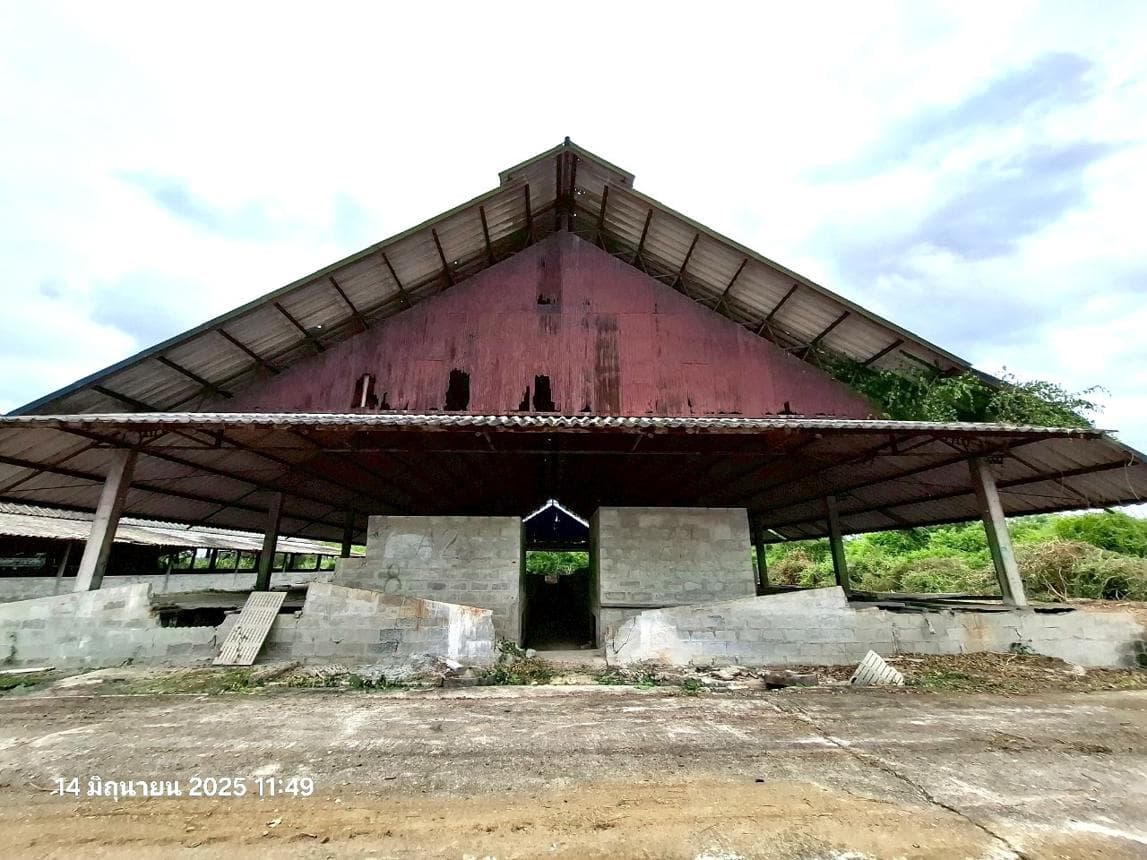 ฟาร์ม คลองตาคต โพธาราม ราชบุรี พื้นที่ใช้สอย 480 ตร.ม. ทำเลศักยภาพเพื่อการเกษตรและลงทุน