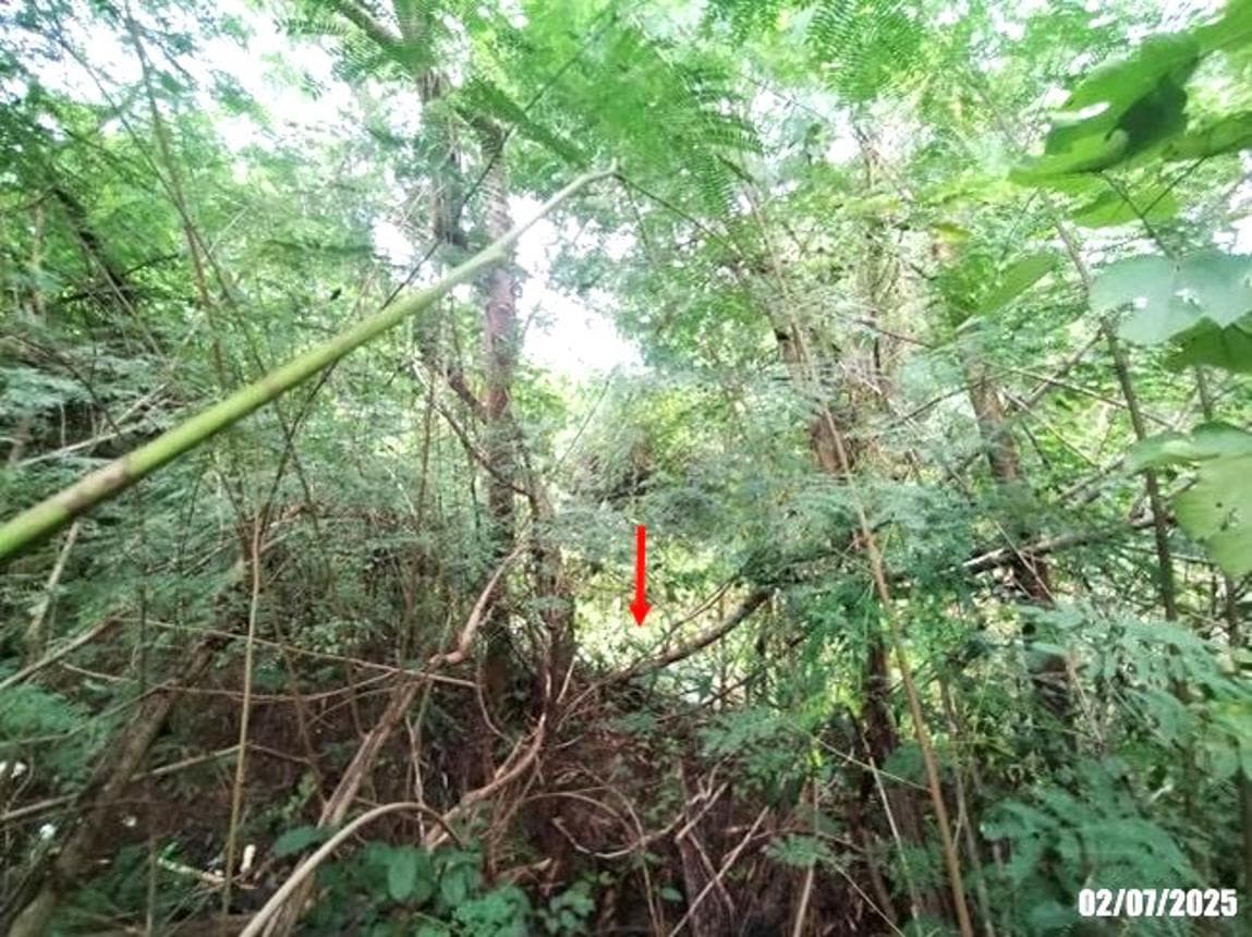 บ้านเดี่ยว 4 ห้องนอน พื้นที่ 231 ตร.ม. ทำเลศักยภาพ อาฮี ท่าลี่ เลย