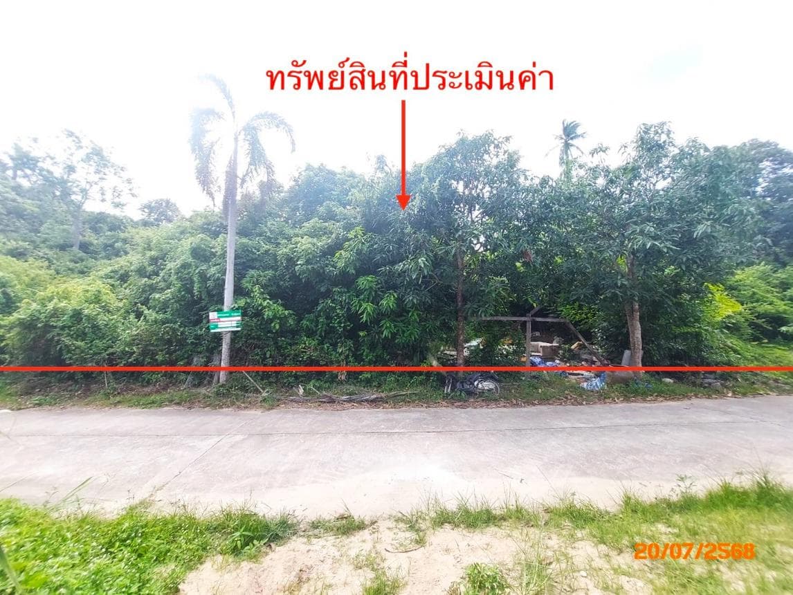 ขายที่ดิน ลิปะน้อย เกาะสมุย สุราษฎร์ธานี พื้นที่ 19 ตร.ว.