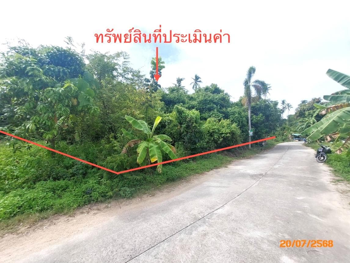 ขายที่ดิน ลิปะน้อย เกาะสมุย สุราษฎร์ธานี พื้นที่ 19 ตร.ว.