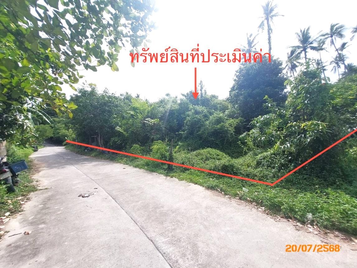 ขายที่ดิน ลิปะน้อย เกาะสมุย สุราษฎร์ธานี พื้นที่ 19 ตร.ว.