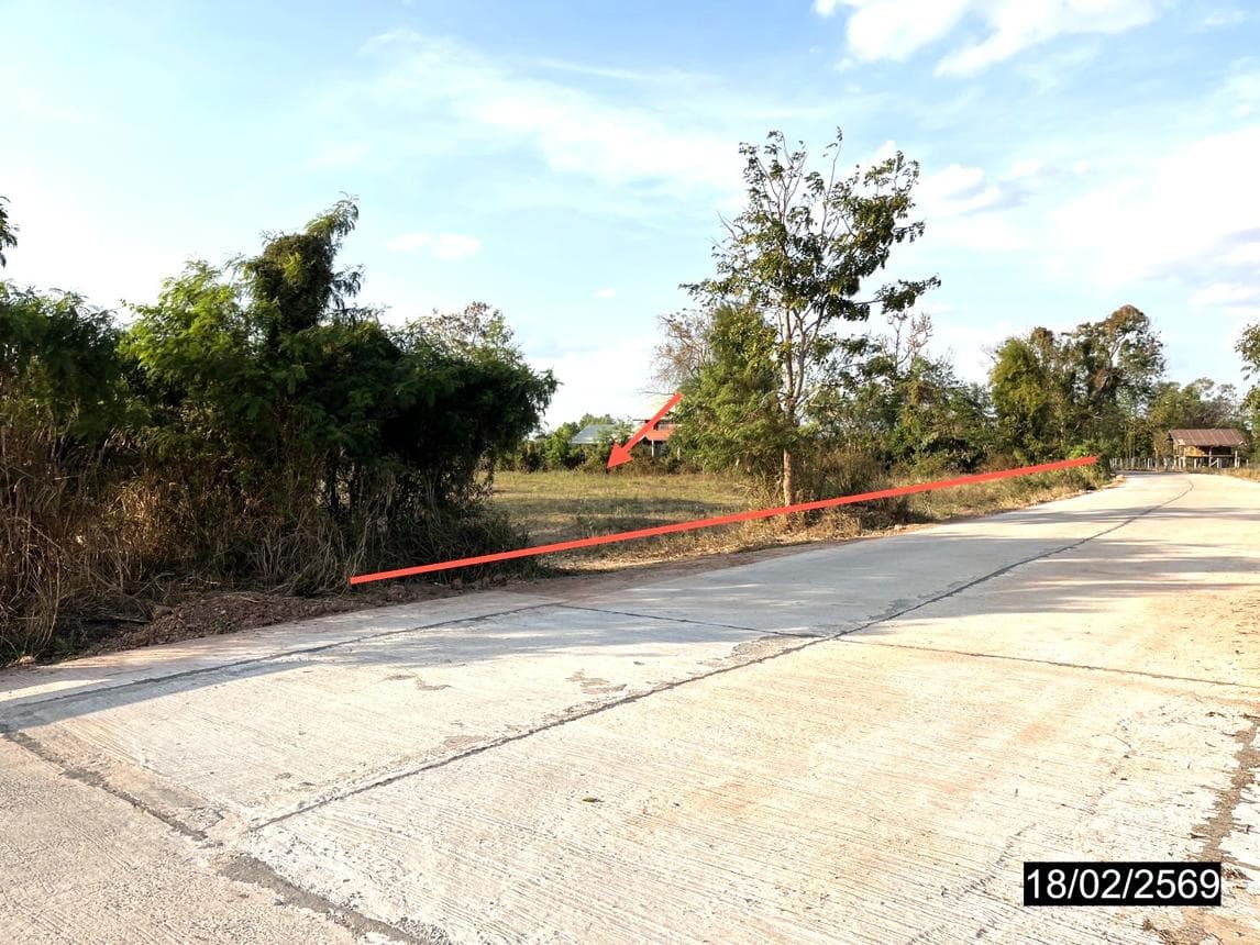ที่ดินเปล่าผืนใหญ่ 61 ไร่ ทำเลศักยภาพ ตำบลลำหนองแสน หนองกุงศรี กาฬสินธุ์ เหมาะสำหรับการเกษตรและการลงทุนระยะยาว