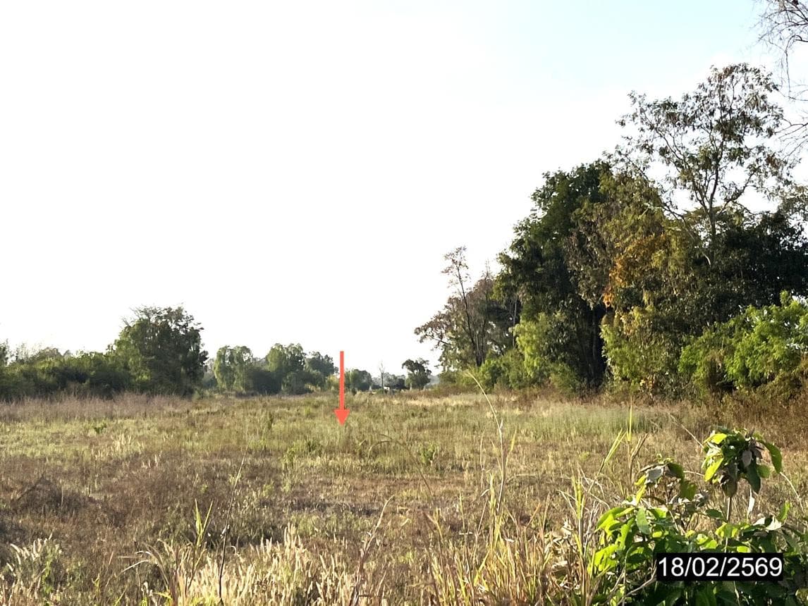 ที่ดินเปล่าผืนใหญ่ 61 ไร่ ทำเลศักยภาพ ตำบลลำหนองแสน หนองกุงศรี กาฬสินธุ์ เหมาะสำหรับการเกษตรและการลงทุนระยะยาว