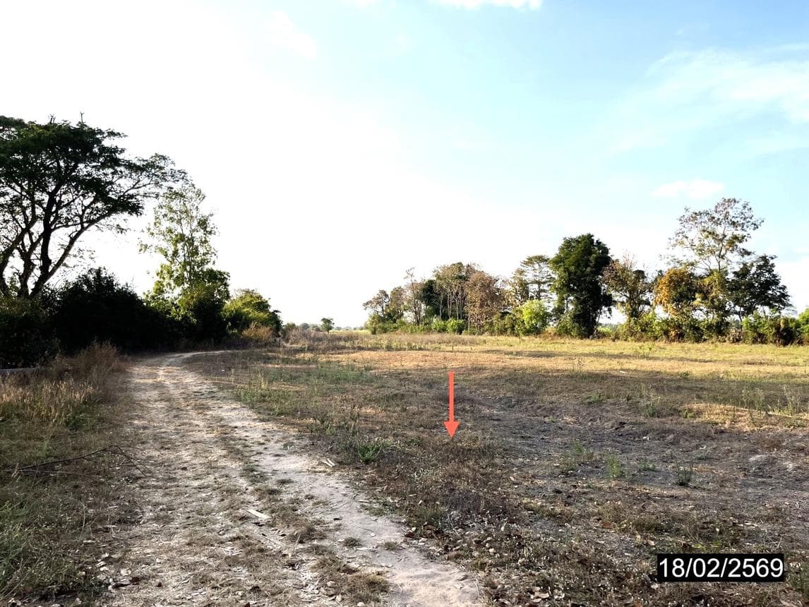 ที่ดินเปล่าผืนใหญ่ 61 ไร่ ทำเลศักยภาพ ตำบลลำหนองแสน หนองกุงศรี กาฬสินธุ์ เหมาะสำหรับการเกษตรและการลงทุนระยะยาว
