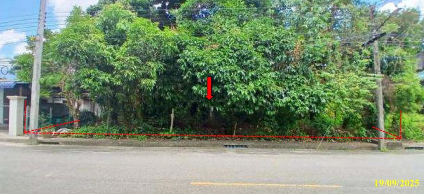 ขายที่ดินว่างเปล่า ปะลุรู สุไหงปาดี นราธิวาส พื้นที่ 17 ตร.ว. ทำเลดีเหมาะแก่การลงทุนหรือสร้างที่พักอาศัย