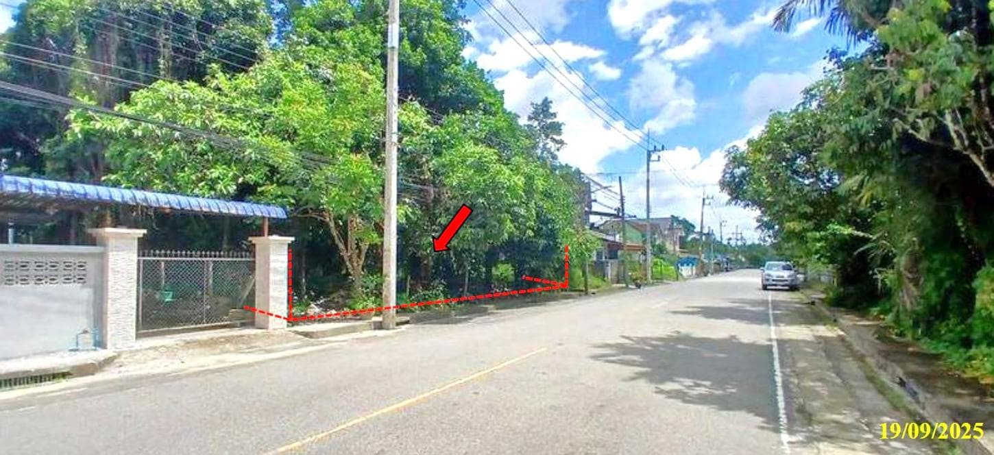 ขายที่ดินว่างเปล่า ปะลุรู สุไหงปาดี นราธิวาส พื้นที่ 17 ตร.ว. ทำเลดีเหมาะแก่การลงทุนหรือสร้างที่พักอาศัย