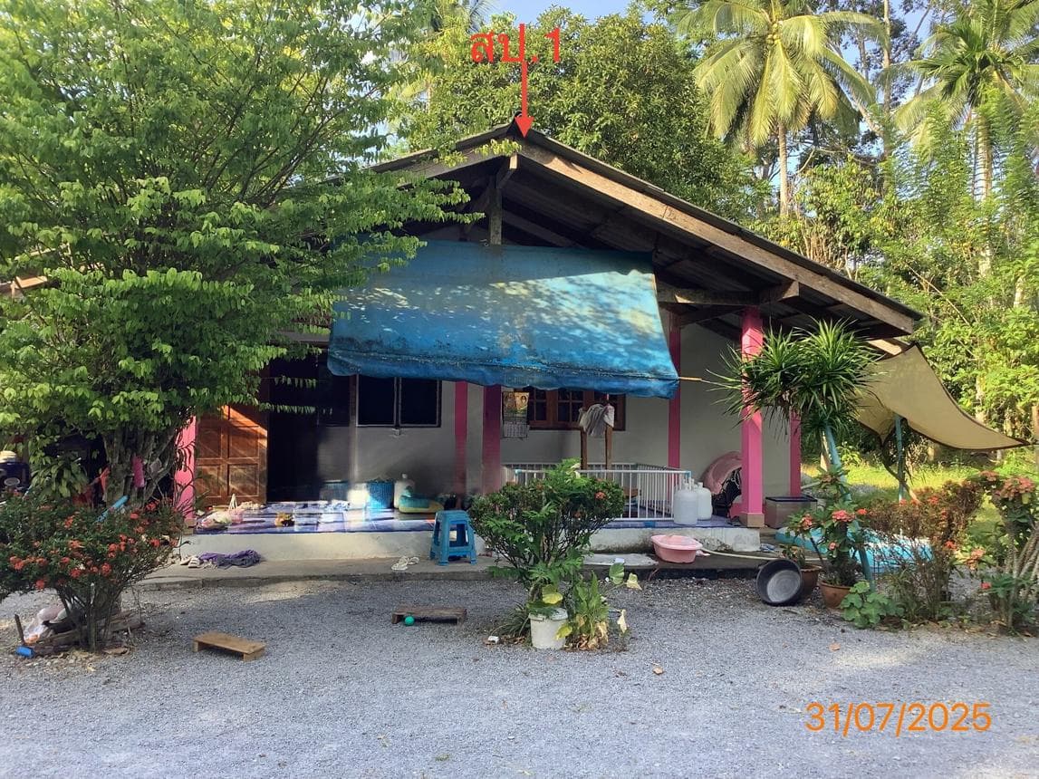 ขายบ้านเดี่ยว ร่อนพิบูลย์ นครศรีธรรมราช ทำเลหินตก พื้นที่ 37 ตร.ว. บรรยากาศส่วนตัว เดินทางสะดวก