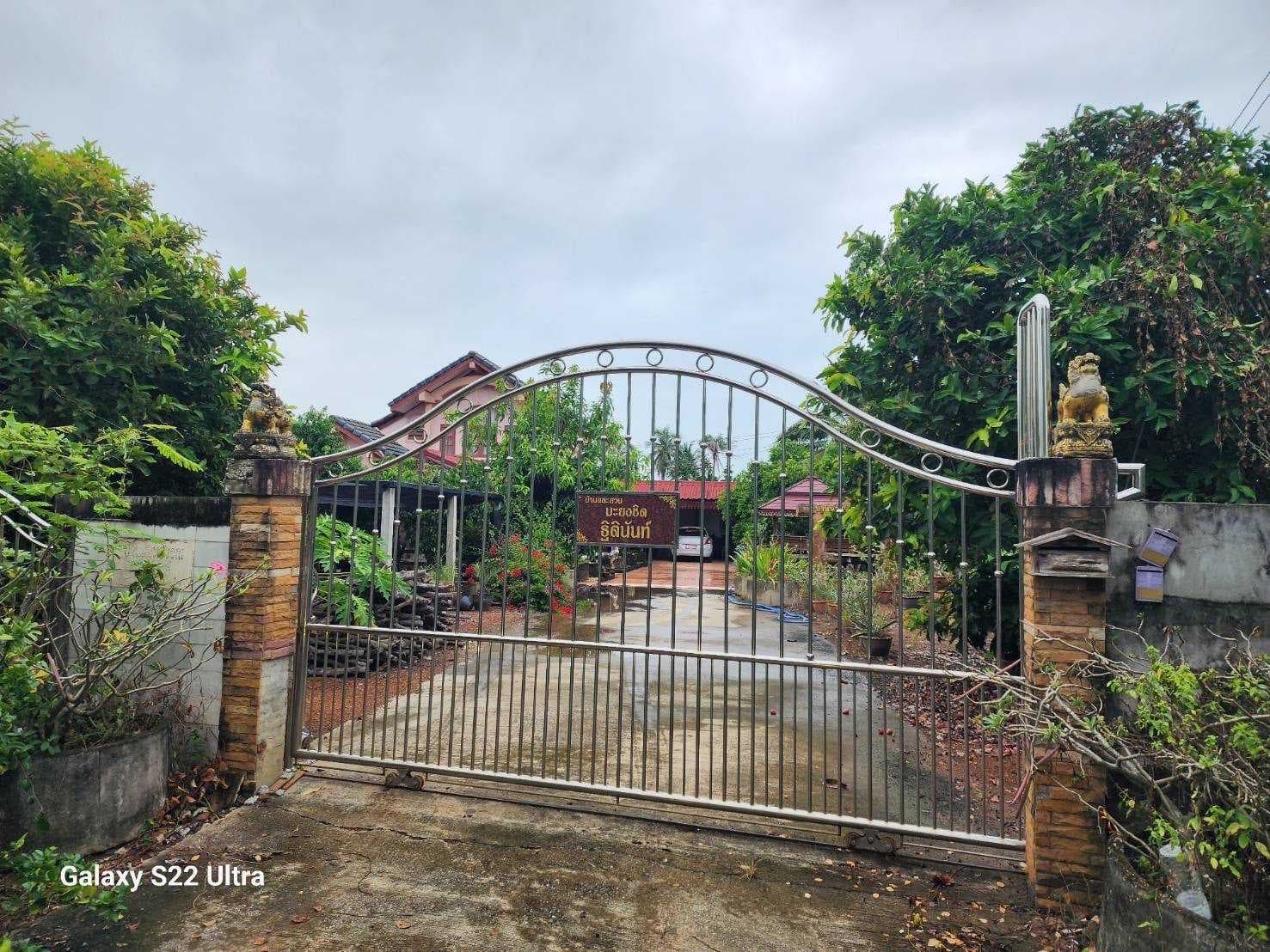 บ้านพร้อมที่ดิน+สวนมะยมชิดต้นแม่พันธ์ เหมาะปรับเป็นรีสอร์ท โฮมสเตย์ หรือ คาเฟ่ เพื่อรองรับนักท่องเที่ยว