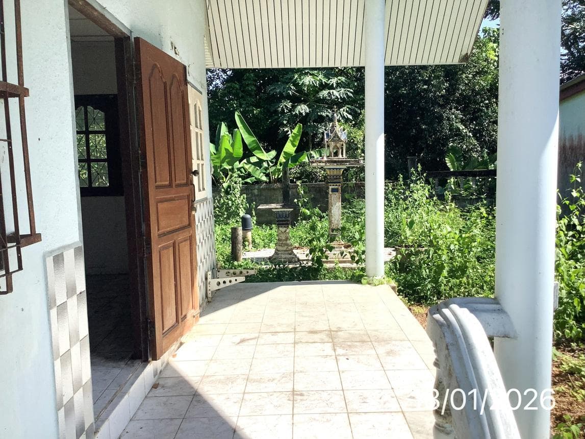ขายบ้านเดี่ยว ฉวาง นครศรีธรรมราช ทำเลจันดี เนื้อที่ 52 ตร.ว. พื้นที่ใช้สอย 128 ตร.ม. สภาพดี พร้อมอยู่