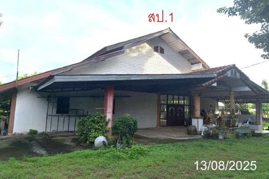 ขายบ้านเดี่ยว ป่าสัก เมืองลำพูน พื้นที่ 52.4 ตร.ว. 2 ห้องนอน ทำเลดี ราคาไม่ถึง 2 ล้าน คุ้มค่ามาก